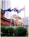 NSW Flags