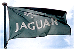 Jaguar Flag
